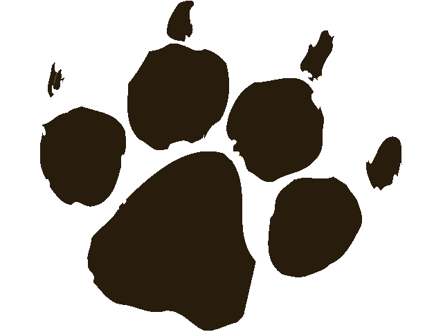 Real dog footprint clipart vector