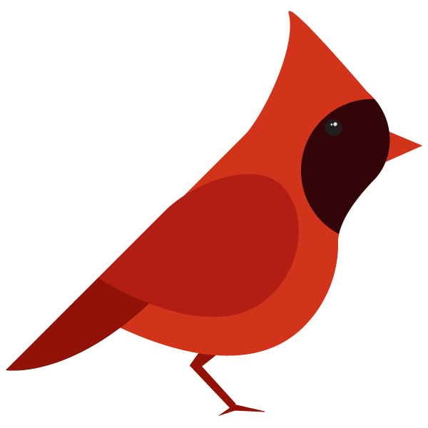 bird vectors