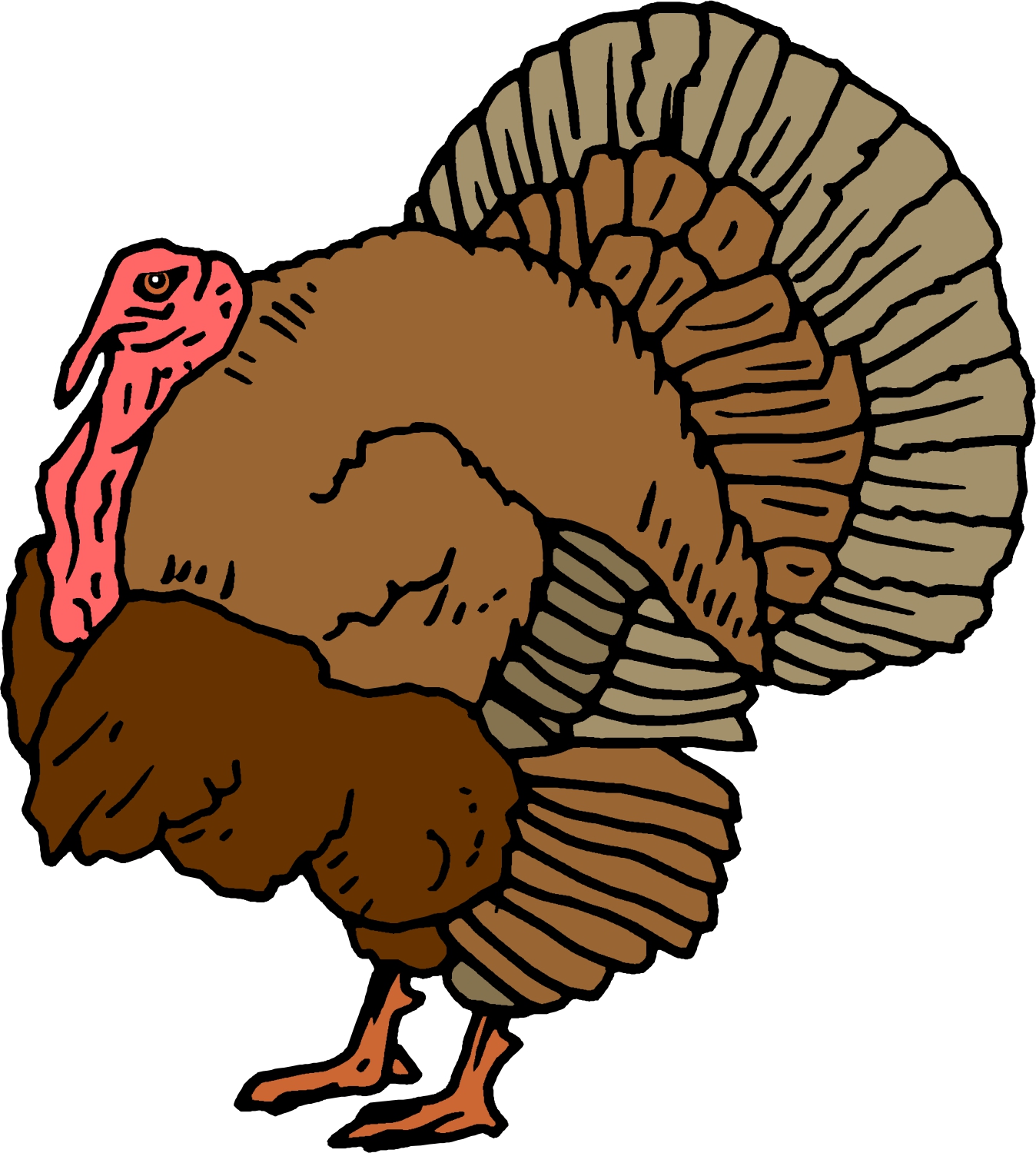 Turkey Cartoon Clip Art - ClipArt Best