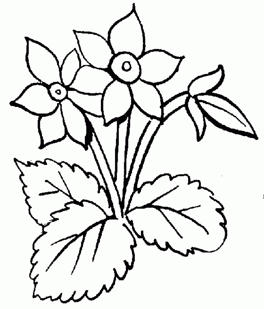 flower black and white free clip art flowers black and white