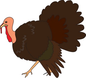 Turkey Clipart Image - Live Wild Turkey
