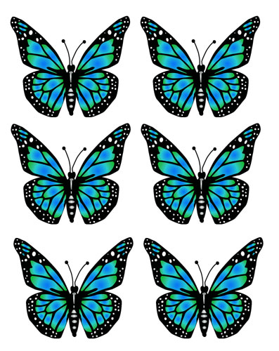 Blue butterfly clipart