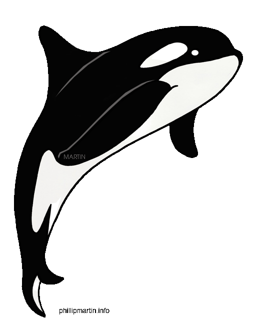 Clipart killer whale