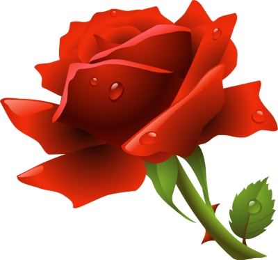 Picture Of Red Rose With Stem - ClipArt Best