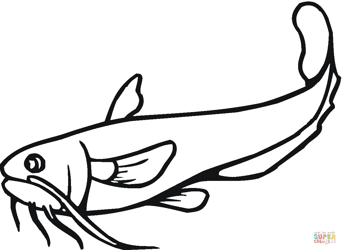 Catfish coloring pages | Free Coloring Pages