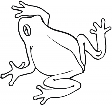 Tree Frog Outline - Free Clipart Images