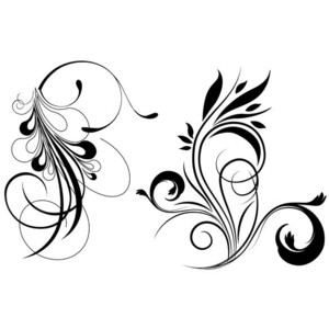 Free Floral Vector Graphics - Polyvore