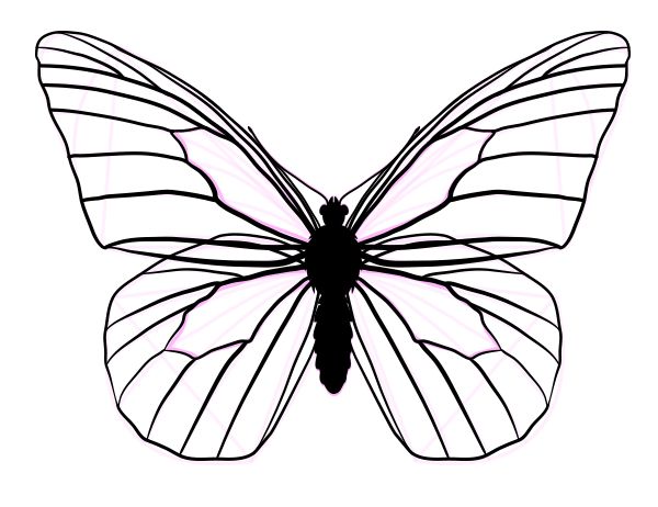 Butterfly Drawing Images ...
