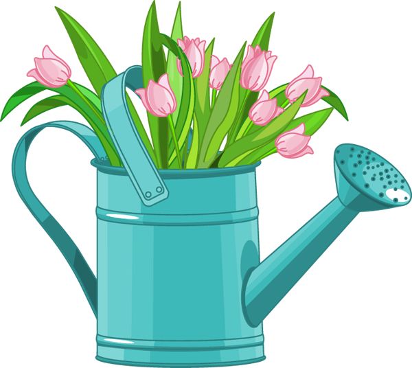 1000+ images about Watering Cans | Gardens, Copper ...