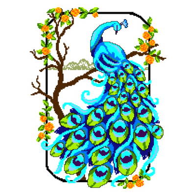 Peacock Border Designs - Free Clipart Images