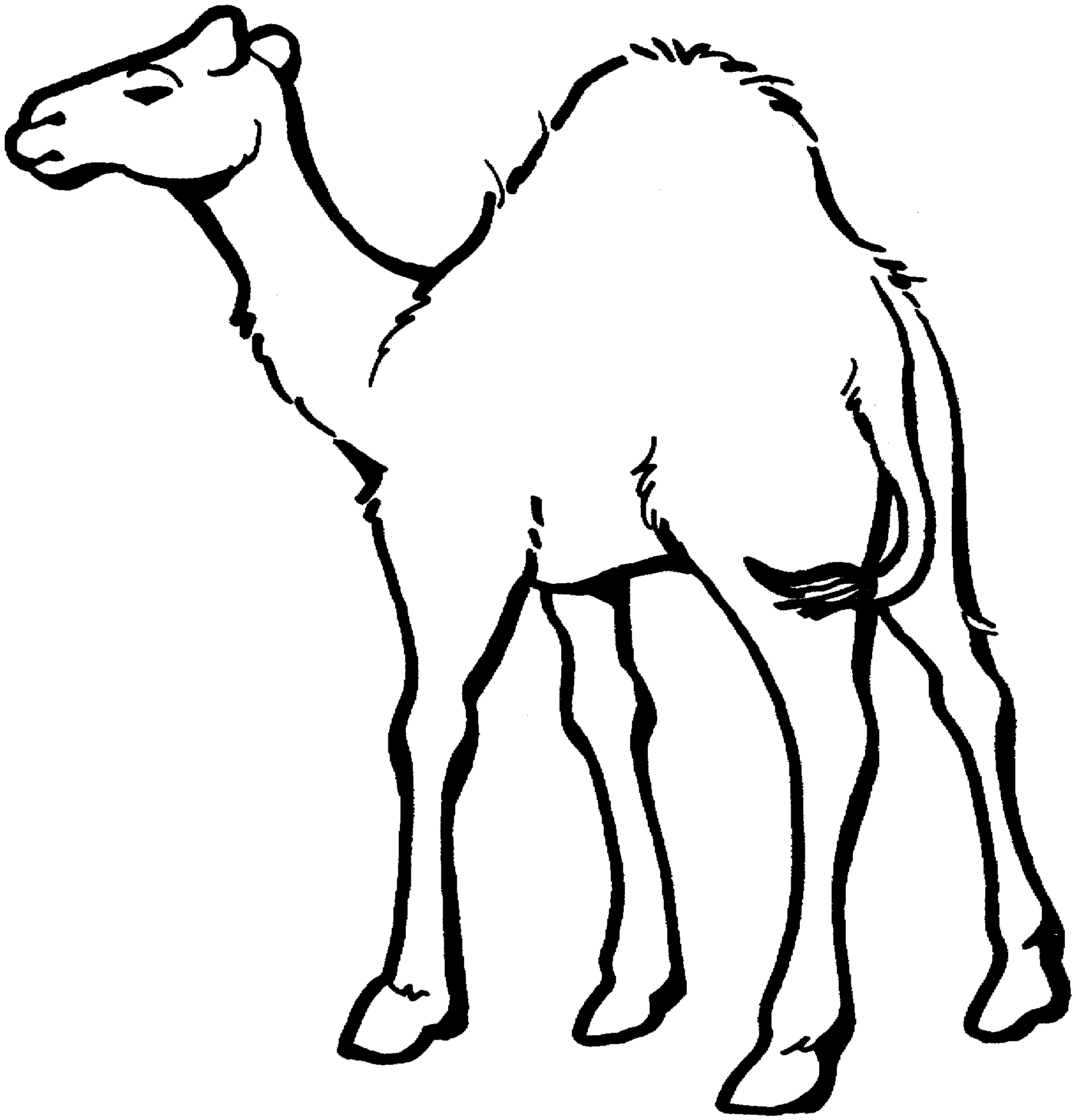 Camel Clipart Black And White - Free Clipart Images