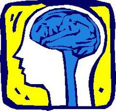 Human Brain Cartoon Clipart - Free to use Clip Art Resource