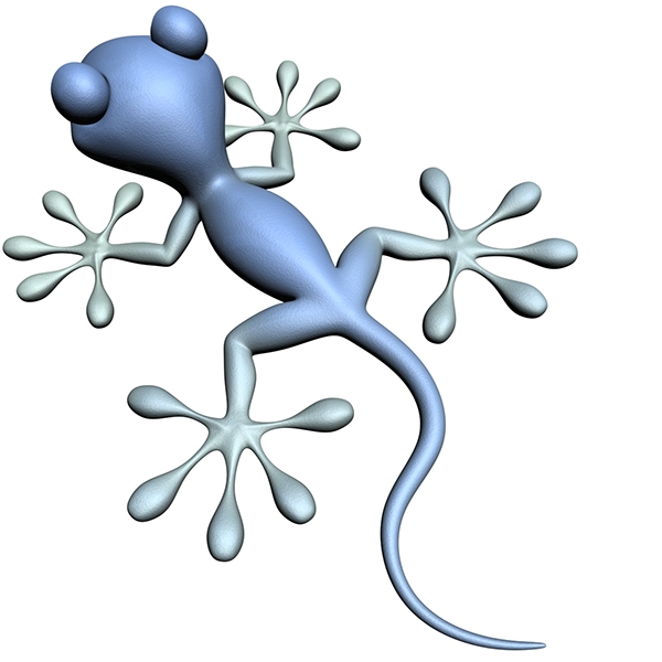 Cartoon Gecko 3D on Behance