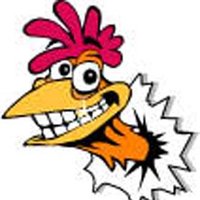 Rooster Cartoon Pictures, Images & Photos | Photobucket