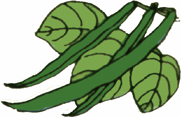 Green Beans Clipart
