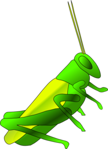 Cricket Clip Art - vector clip art online, royalty ...