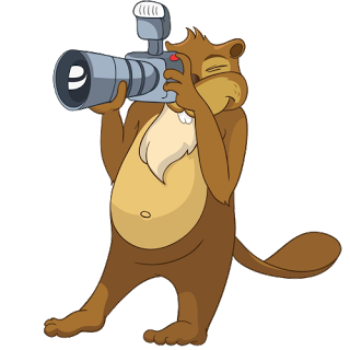 Beaver Images - Cartoon Animal Images