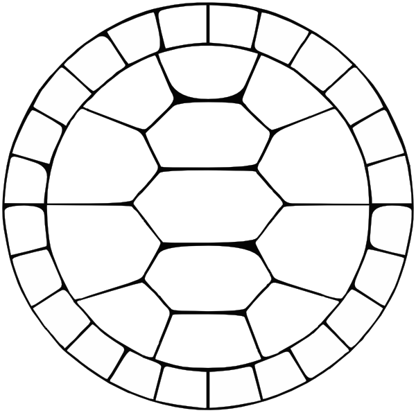 Turtle shell pattern clipart