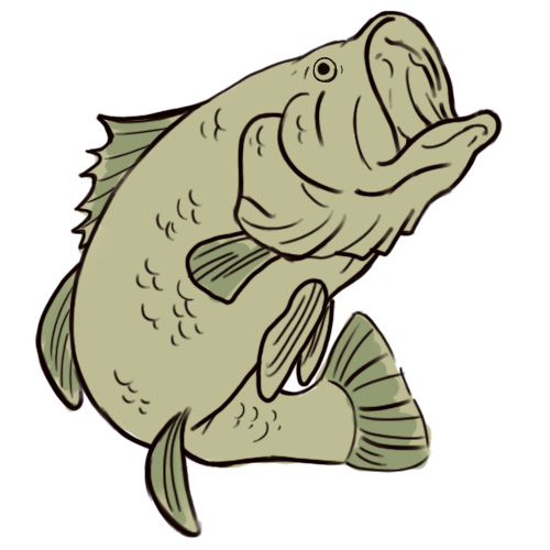 Best Bass Fish Outline #18241 - Clipartion.com