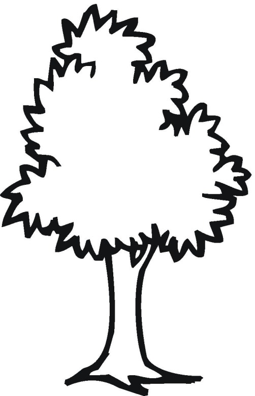 Colouring Page Of Tree ClipArt Best