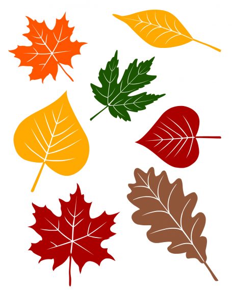 5 Fall Circle Time Lessons with FREE Printables - No Time For ...