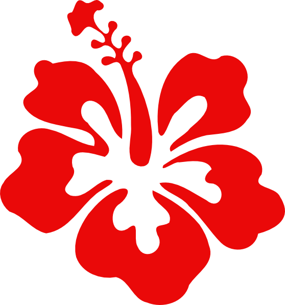 Hibiscus Vector