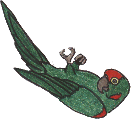 Parrot Clipart, all free! Parrots and Birds Clip art