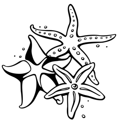 Starfishes clip art