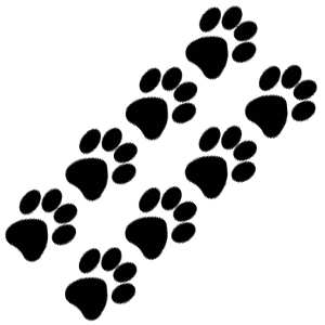 Cat Paw Prints black vinyl cut-out stickers - EvolveFISH and ...
