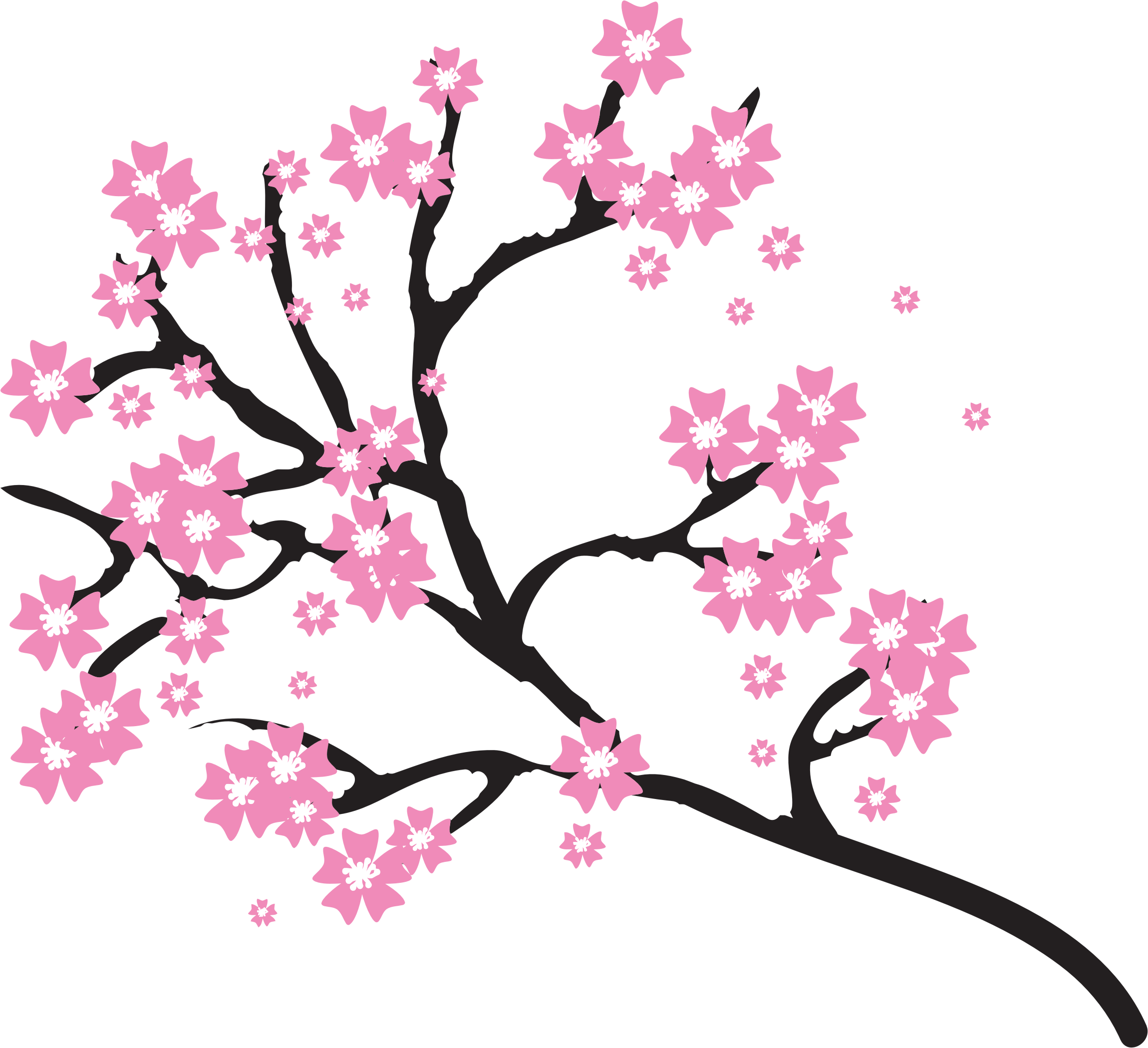 Clipart - Cherry Blossoms