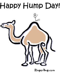 Hump day, Happy and Hump day camel