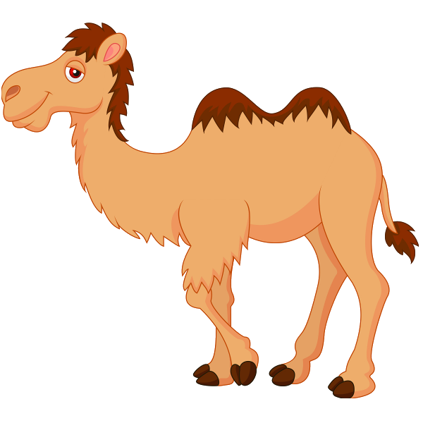 Cute camel clipart