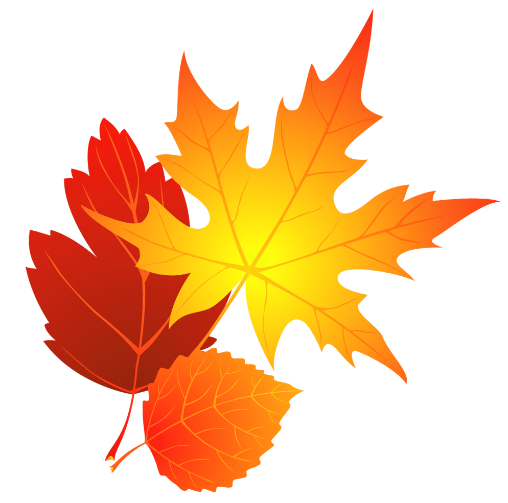 Fall Foliage Clipart