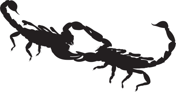 Clip Art Of Scorpion Artwork Clip Art, Vector Images ...