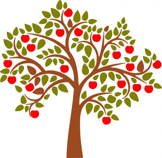 Young apple tree clipart