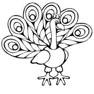 Simple Peacock Sketch - ClipArt Best