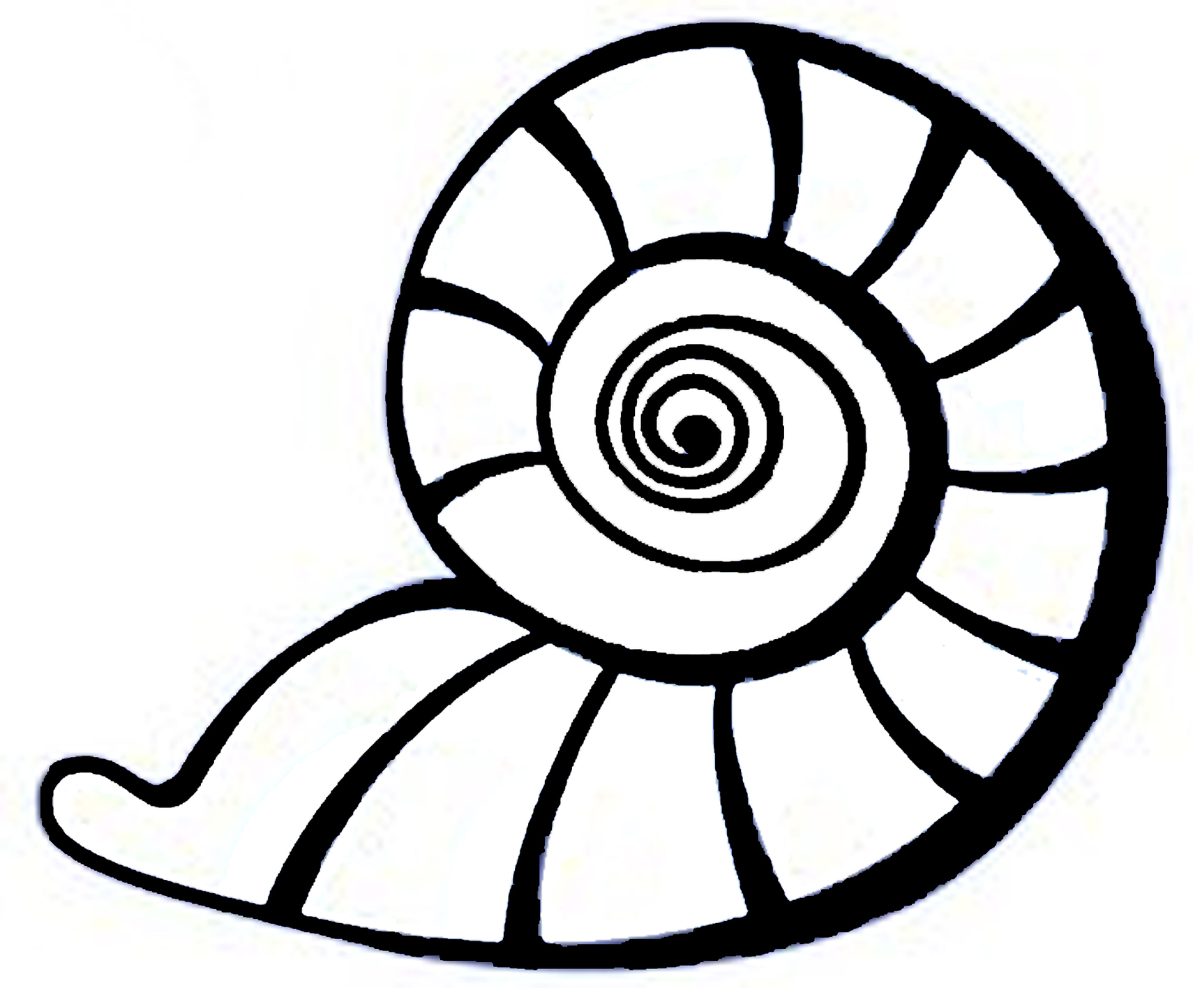 Seashell Drawings Clipart - Free to use Clip Art Resource