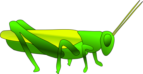 Grasshopper insect clipart