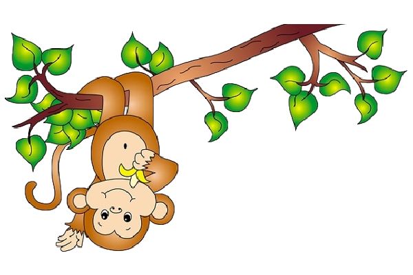 Monkey on a vine cartoon clip art decor - dbclipart.com