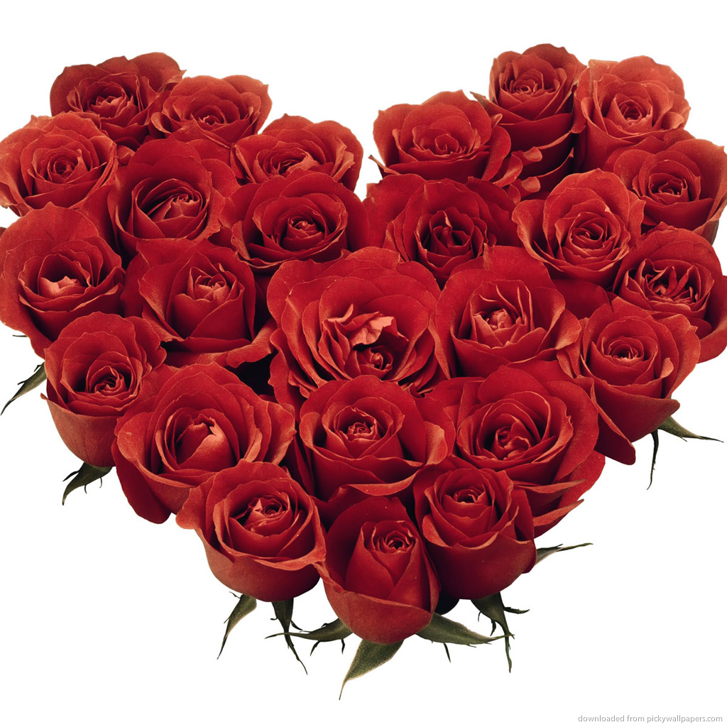 Flowers For > Pictures Of Red Roses And Hearts