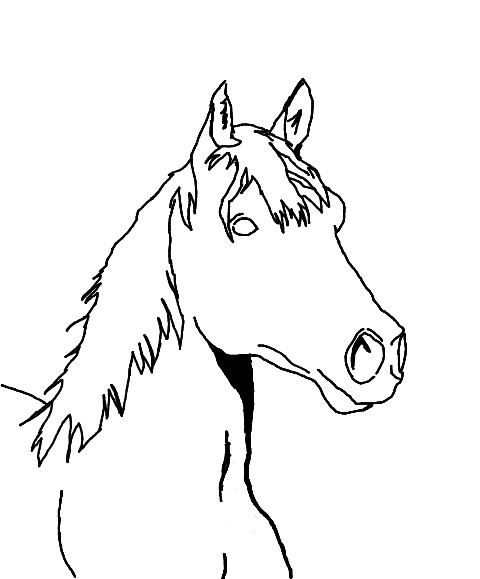 Pictures Of Horse Drawings