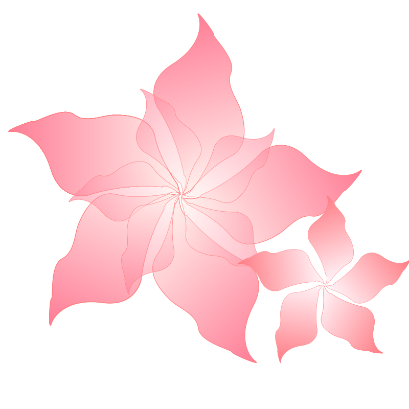 Pink Flower Png images
