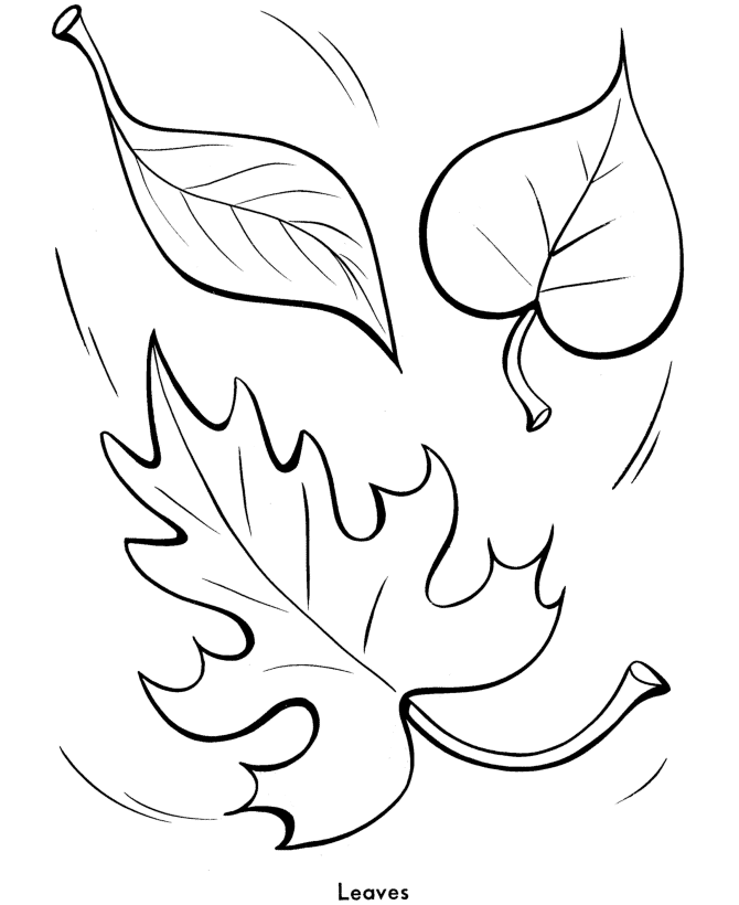 leaf shapes Colouring Pages