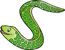 Eel Clip Art Free - Free Clipart Images