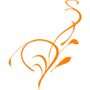 Floral Border Orange clip art - Polyvore
