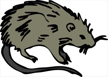 Clip Art Rat - Tumundografico