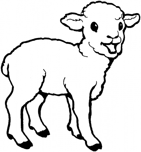 Lamb Drawing - photogram