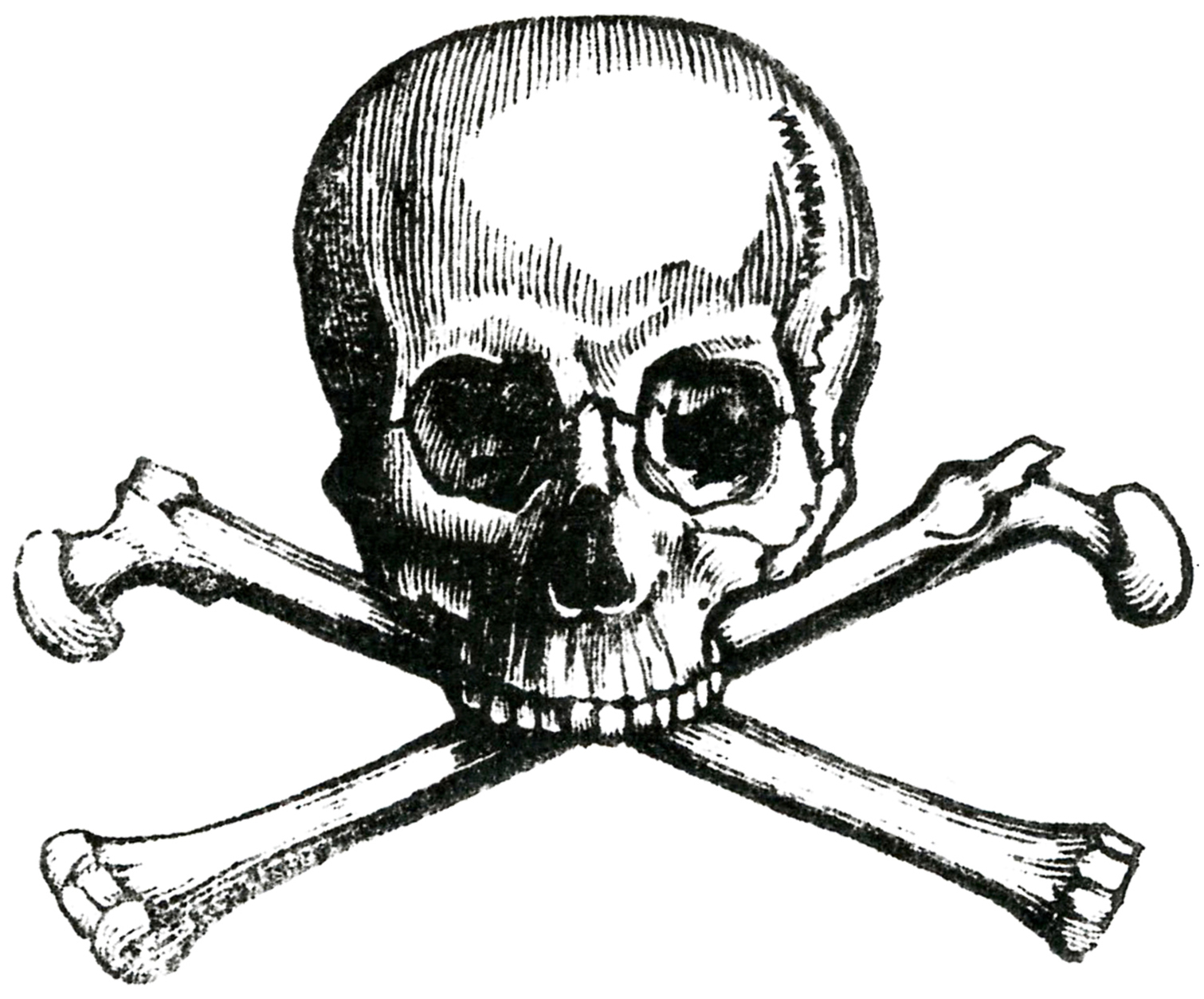 Skull And Crossbones Clipart