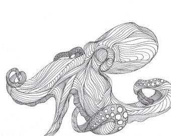 octopus drawing