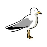 Clip Art Seagulls - ClipArt Best